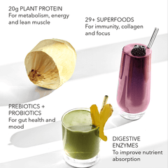 Organic Plant Protein + Superfood Smoothie Mix (SAMPLE Box)